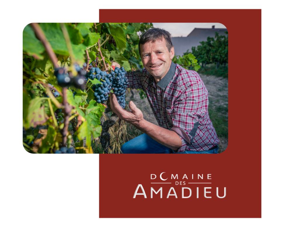 Design sans titre - 2025-01-05T205658.497