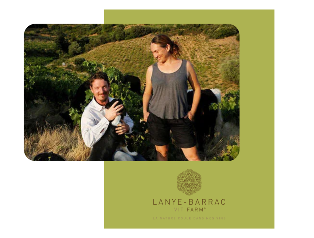 Design sans titre - 2025-01-05T211903.125