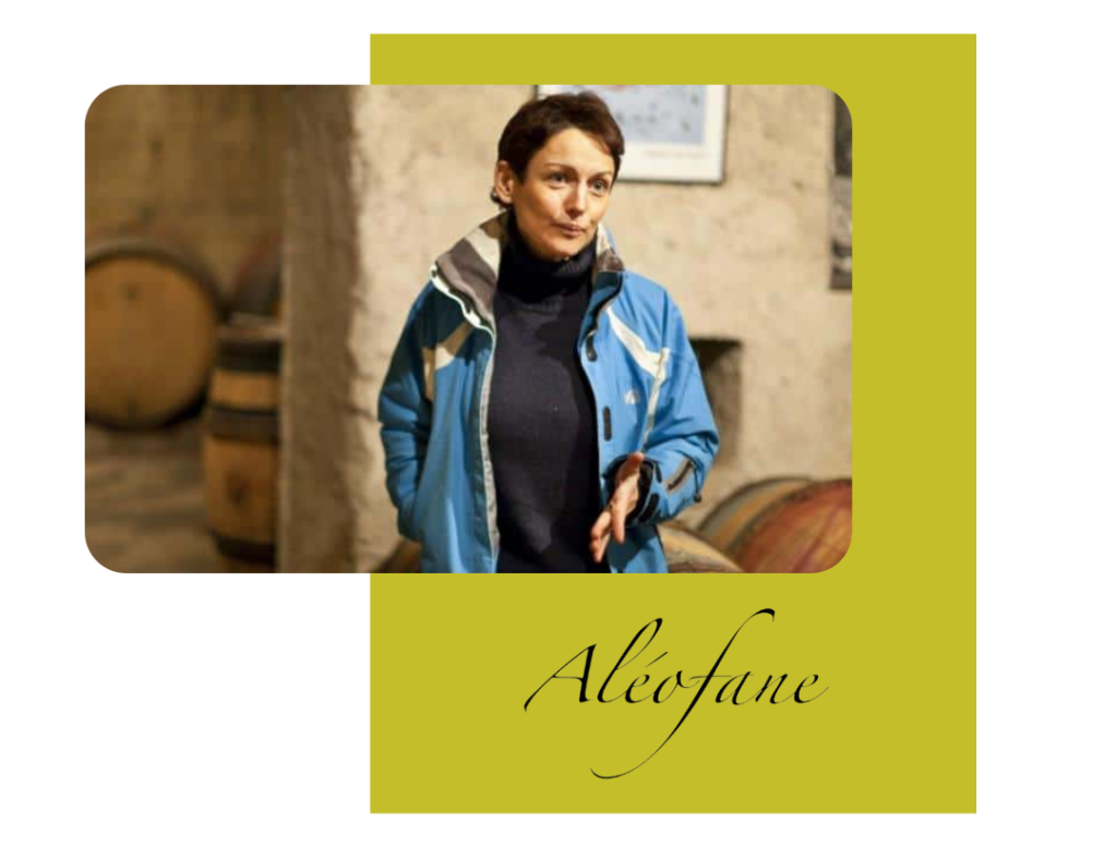 Design sans titre - 2025-01-05T211922.049