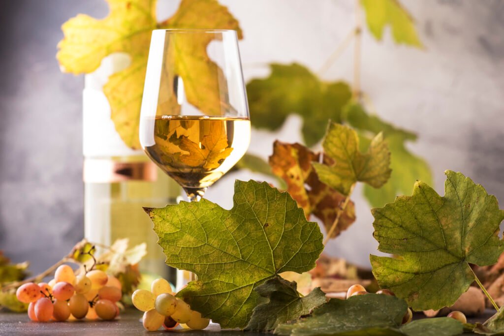 Sélection vin blanc