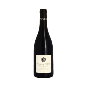 comme une évidence - vignes de paradis