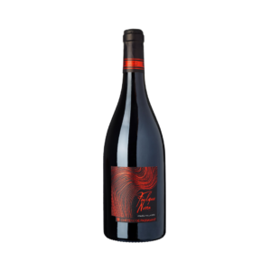 foulque nerra - chateau de passavant