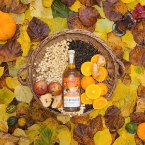 gin d'hiver - distillerie de l'Ort