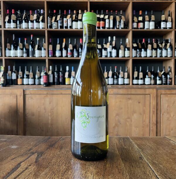 domaine dudognon - a l_entrée de lerné sauvignon