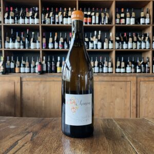 domaine dudognon - au bout du chenin chinon