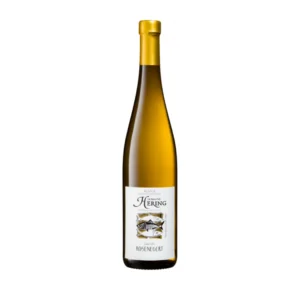Lieu-dit Rosenegert "Complantation" - Domaine Hering