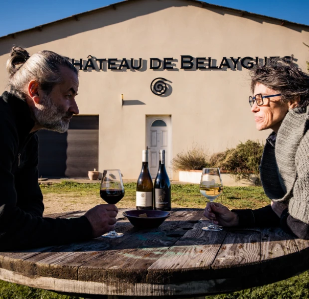 chateau de belaygues