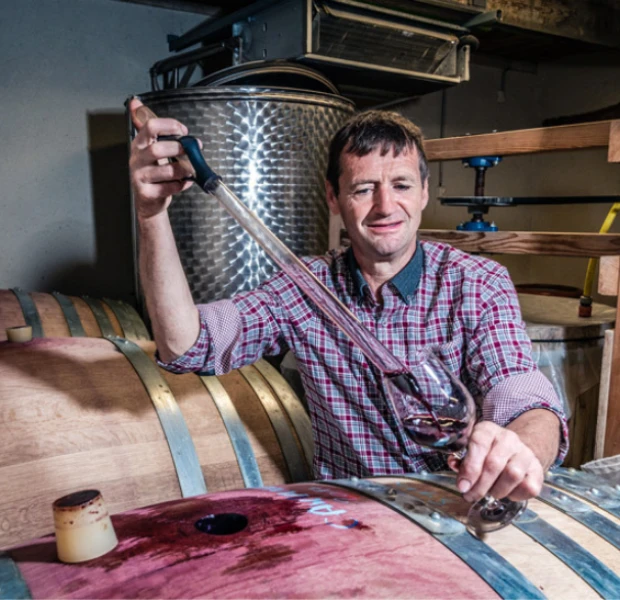 domaine des amadieu, vins bio du rhônes