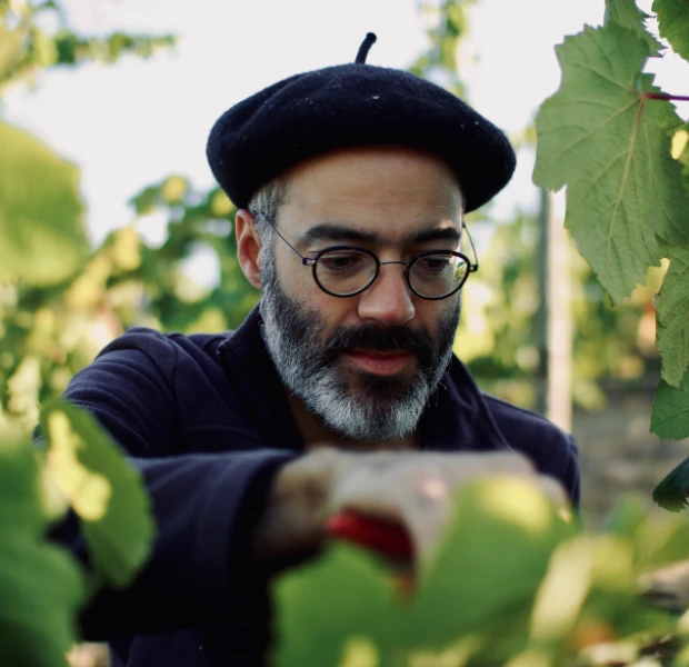 domaine entras