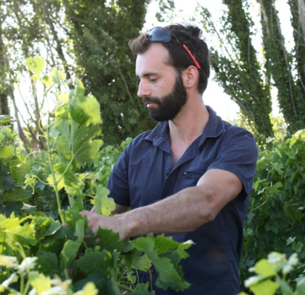 vingoble simian, vins bio de la Vallée du Rhône